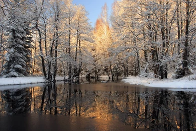 Free Desktop Winter Backgrounds Wallpapers Cave