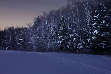 Winter Night Wallpapers Desktop Backgrounds