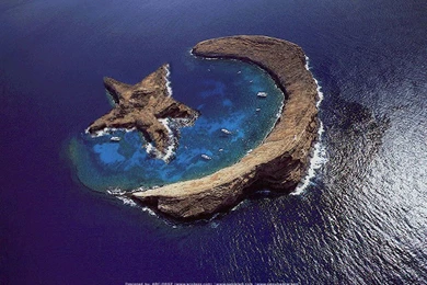 Trololo Blogg: Wallpapers 14 August Flag