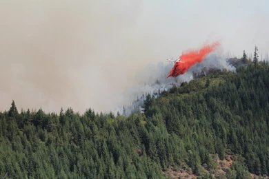 Airplane For Firefighting Forest Wallpapers :: HD Wallpapers