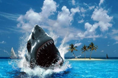 New Wallpapers HD Wallpapers Pretty