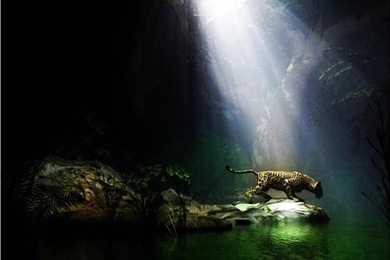 Top PC Wallpapers Desktop Backgrounds