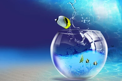 3d Nature Wallpapers Desktop Latest Wallpapers