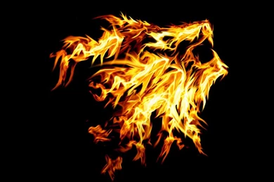 Jestingstock.com Animated Fire Lion Wallpapers