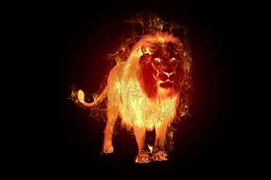 Fire Lion Bing Images