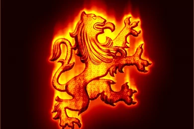 Fantastic Flame Screensaver Styles At Free FIRE SCREENSAVERS ...