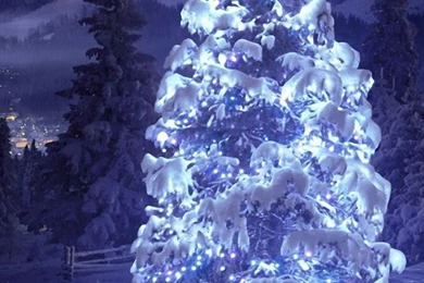 Galaxy S4 / Cute_Samsung Wallpapers