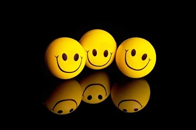 Funny Cute Wallpapers High Quality Resolution