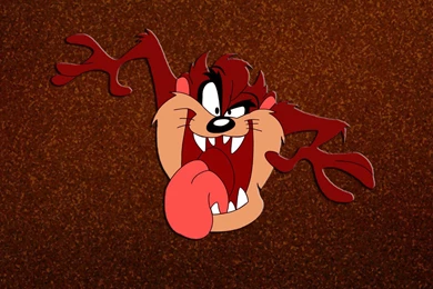 Tasmanian Devil Wallpapers And Images Wallpapers, Pictures, Photos