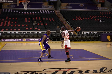 Michael Jordan: Michael Jordan Quotes Kobe Bryant Quotestoday.club