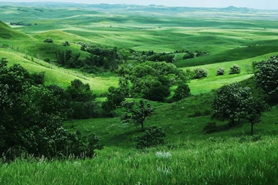 Grassland Backgrounds Wallpapers Cave