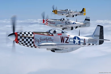 P 51 Mustang Wallpapers 134574
