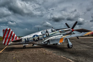 P 51 Mustang Wallpapers 1224556