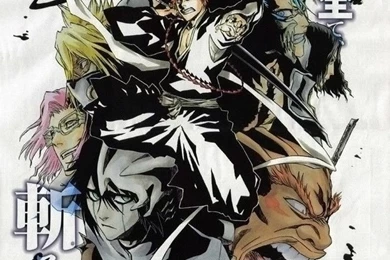 Image Library Online: Bleach: Arrancar Wallpapers Gallery