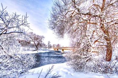 WINTER TIME WALLPAPER (