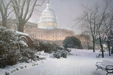 White House HD Wallpapers