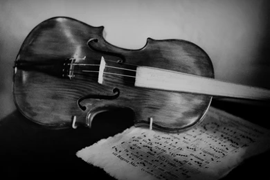 VIOLIN WALLPAPER (
