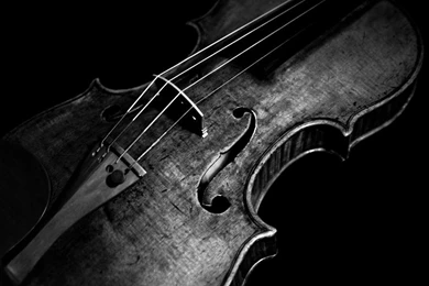 MAY YOUR SONG GUIDE YOU HOME