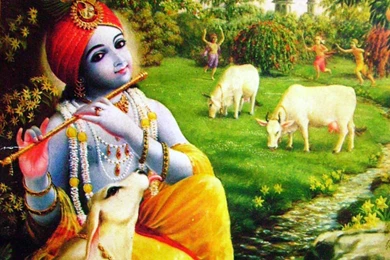 krishna wallpapers hd wallpapers krishna wallpapers hd wallpapers