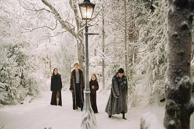 Desktop Fun: Chronicles Of Narnia Wallpapers Collection