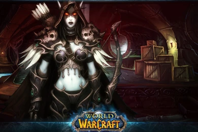 Blizzard Entertainment: World Of Warcraft: Wrath Of The Lich King