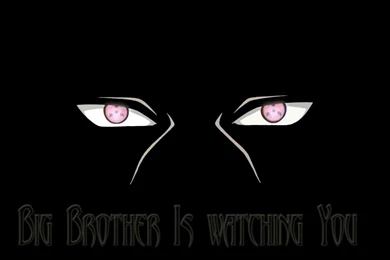 Big Brother Is Watching You Photo By Itachi Sama81