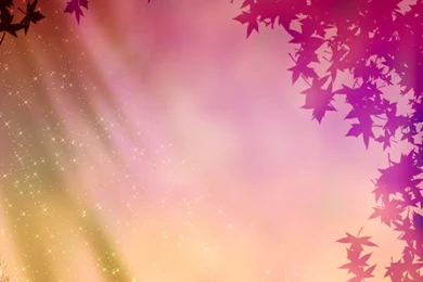 Free Stock Photos Rgbstock Free Stock Images