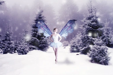 Fairy Desktop Wallpapers 8662 HD Wallpapers Site