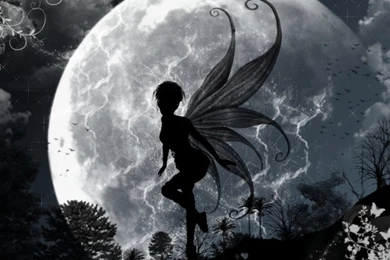 Fairy HD Desktop Backgrounds Wallpapers 8569 HD Wallpapers Site