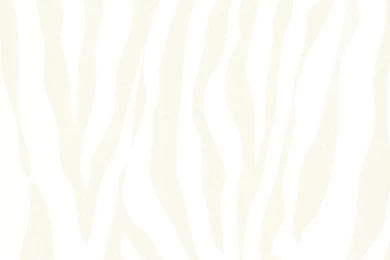 Zebbie Champagne Zebra Print Wallpapers Design By Brewster Home ...