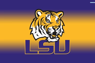 LSU Tiger Stadium Wallpapers Wallpapers