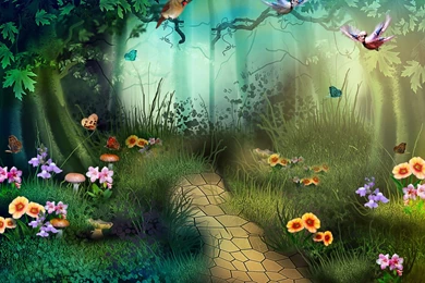 Sad Bird Archives Wallpapers HD Free Wallpapers In All Resolution ...