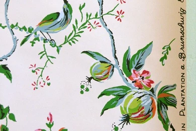 Vintage Hand Printed Wallpapers Brunschwig & By MolecularModern