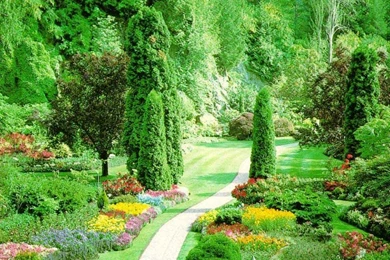 Nature Beautiful Images 1 High Definition : Widescreen Wallpapers