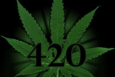 Weed Wallpapers On Pinterest