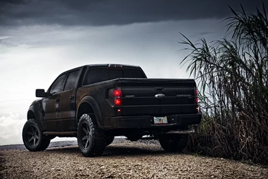 Ford F150 2014 Black Image