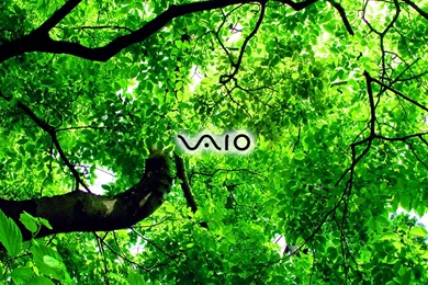 Sony Vaio HD Wallpapers