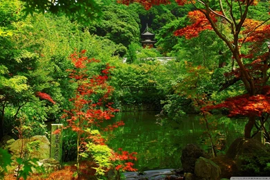 Kyoto Garden, Japan HD Desktop Wallpapers : Widescreen : High ...
