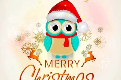 Merry Christmas Wallpapers Cute Owl