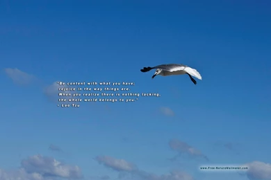 Spiritual Images Wallpapers HD Wide