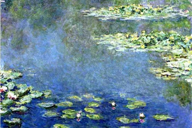 Water Lilies — Crafthubs