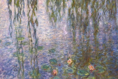 étoiles De Chocolat