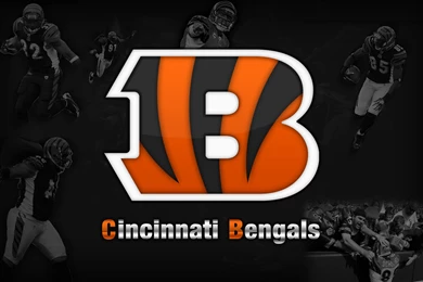 Bengals Wallpapers 1 1680x1050 By Jraider5 On DeviantArt