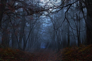 302 3840x1080 Wallpapers HD