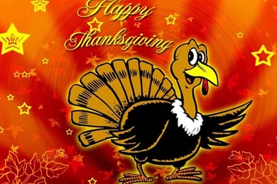 Thanksgiving Live Wallpapers Android Apps And Tests AndroidPIT