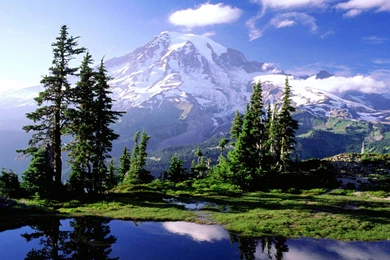 Nice Wallpapers Download