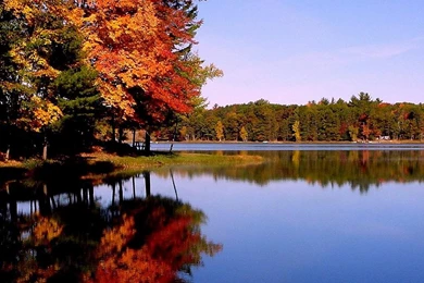 Autumn Backgrounds Wallpapers Wallpapers Cave