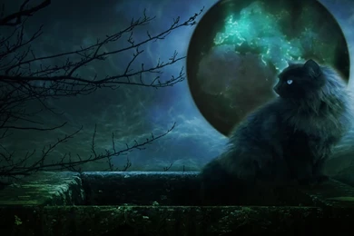 Dreamscene.org Gallery/Download Free Dreamscenes, Video Loops ...