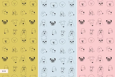 Trends: Dog Wallpapers Decor