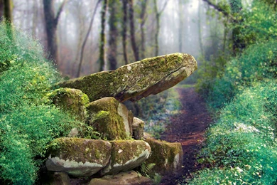 Backgrounds Favourites By SuzieKatz On DeviantArt